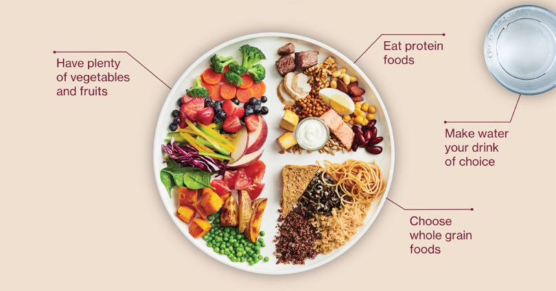 Canada Food Guide plate with recommended food portions (c) Health Canada